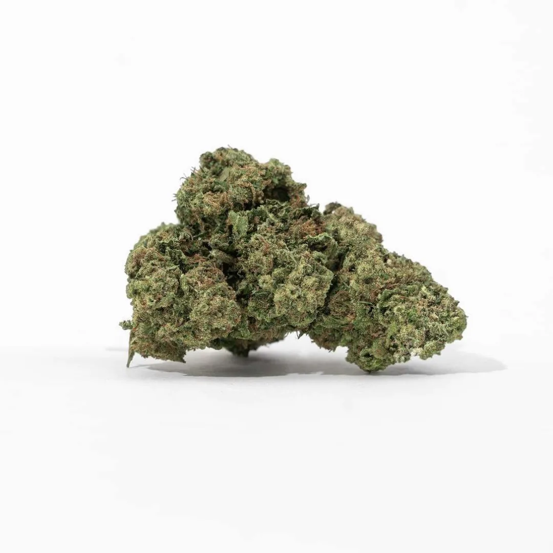Gelato