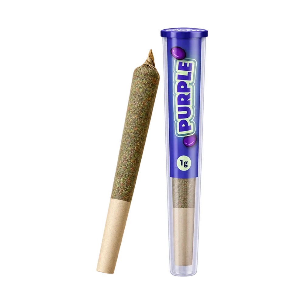 Purple CBD Pre-Roll