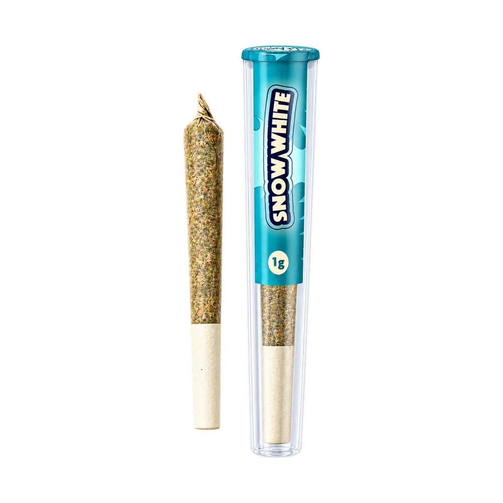 Snow White Pre-Roll